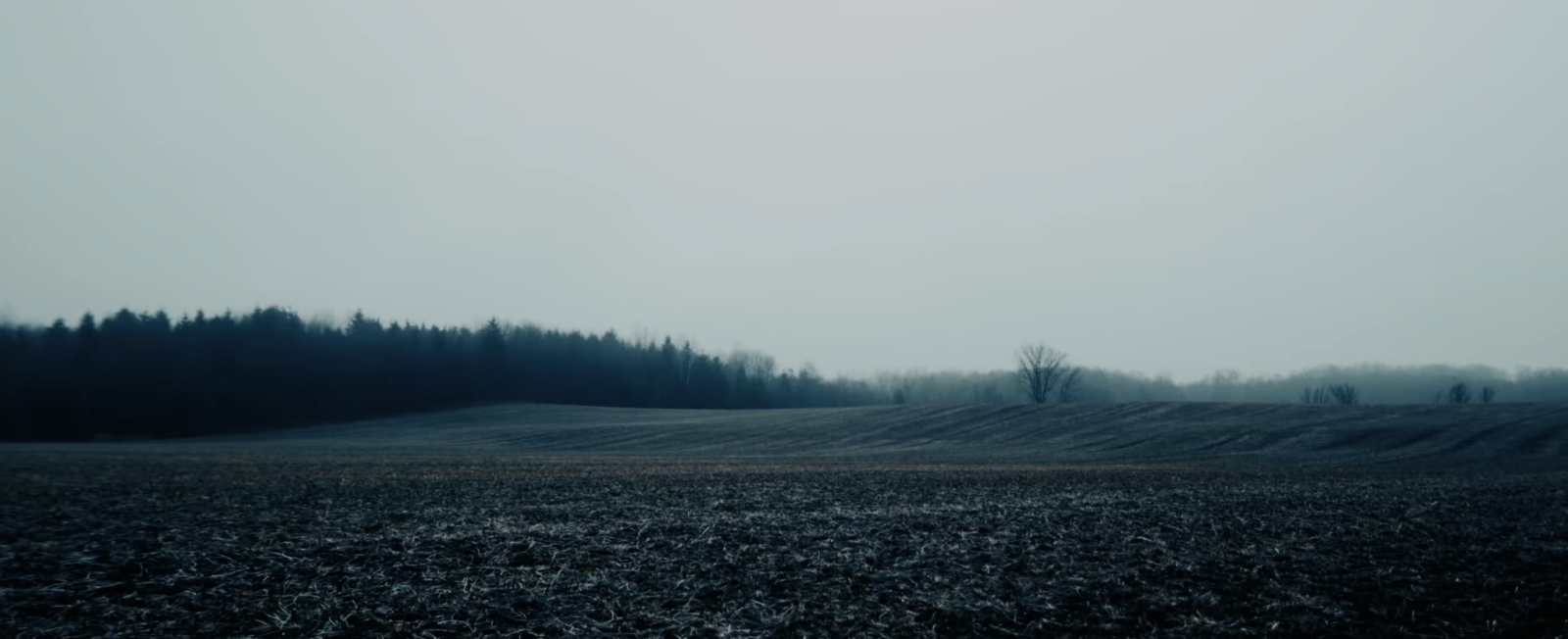 Shards